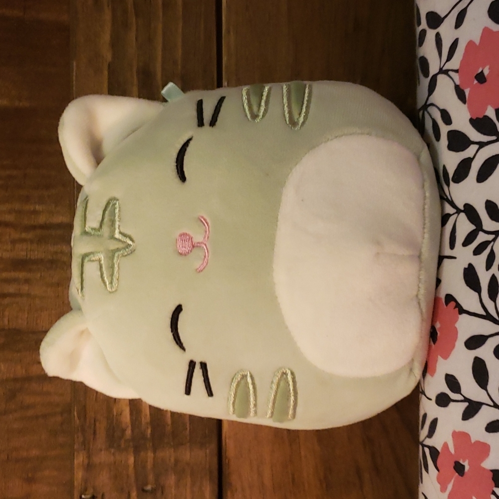 5" Chase the Cat Squishmallow